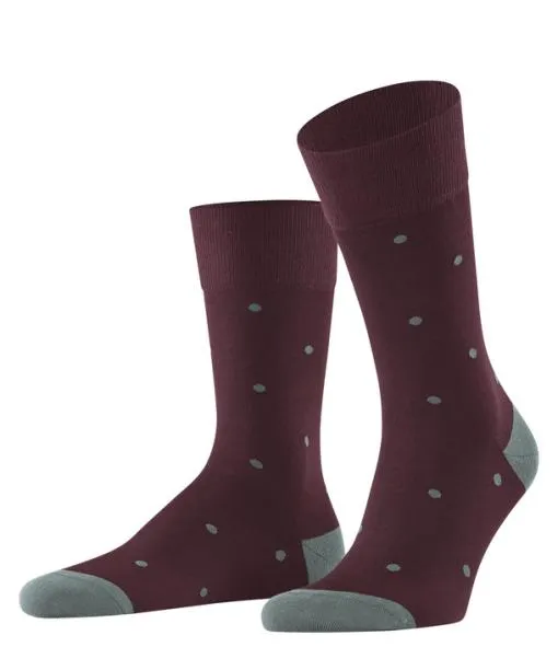Men Dot Men Socks Barolo FALKE Socks