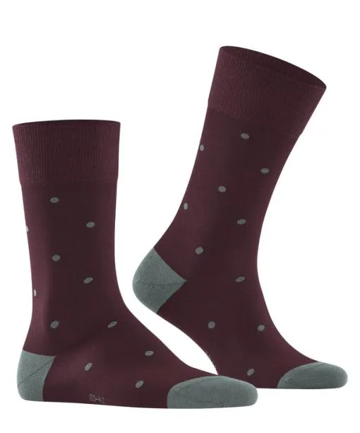 Men Dot Men Socks Barolo FALKE Socks
