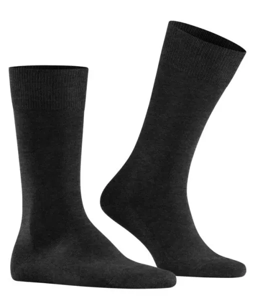 Men Family Men Socks Anthramel FALKE Socks