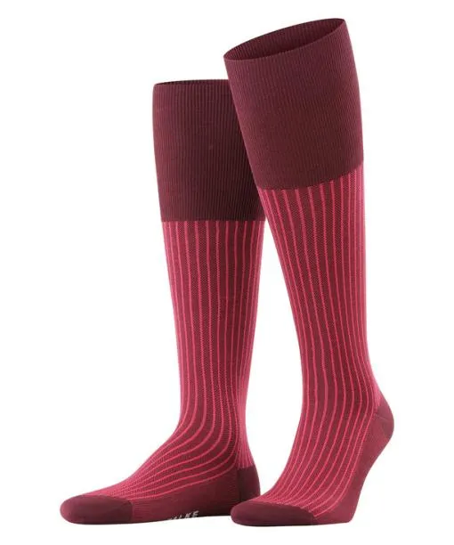 Men Oxford Stripe Men Kneehigh Socks Barolo FALKE Knee High Socks