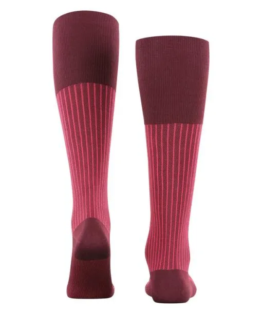 Men Oxford Stripe Men Kneehigh Socks Barolo FALKE Knee High Socks