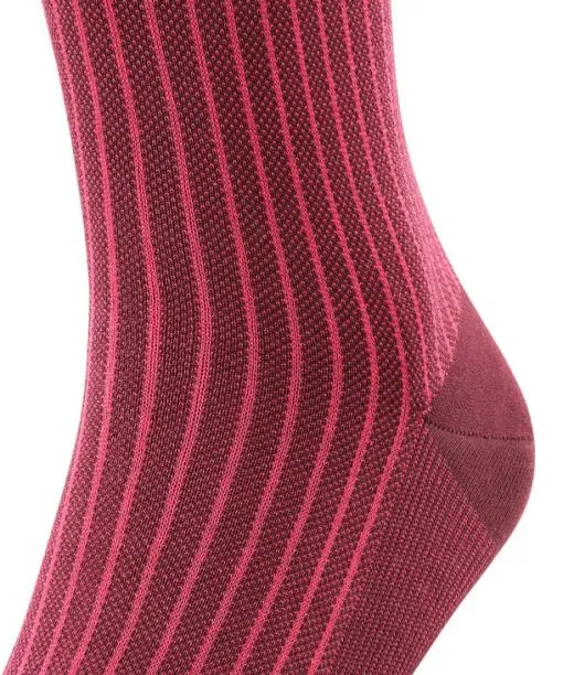 Men Oxford Stripe Men Kneehigh Socks Barolo FALKE Knee High Socks