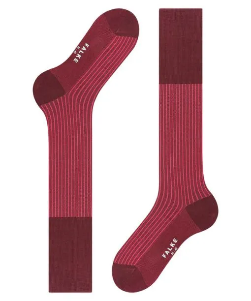 Men Oxford Stripe Men Kneehigh Socks Barolo FALKE Knee High Socks