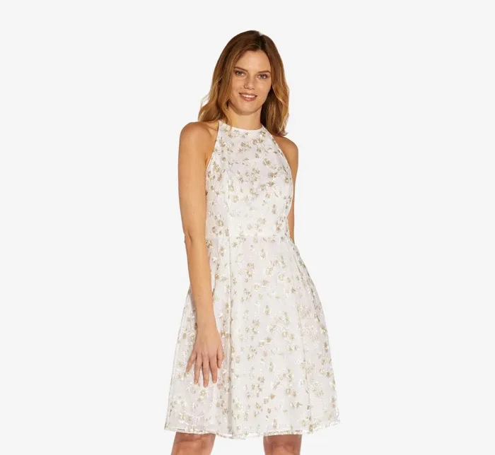 Short Dresses Womens Adrianna Papell Metallic Floral Embroidered Short FitAndFlare Dress In Ivory Gold Short Dresses Womens Adrianna Papell Metallic Floral Embroidered Short FitAndFlare Dress In Ivory Gold