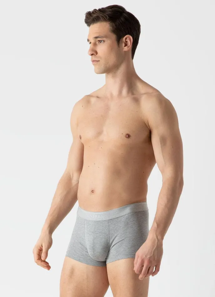 SUNSPEL Trunks and Shorts Stretch Cotton Trunks Grey Melange 8211 Men