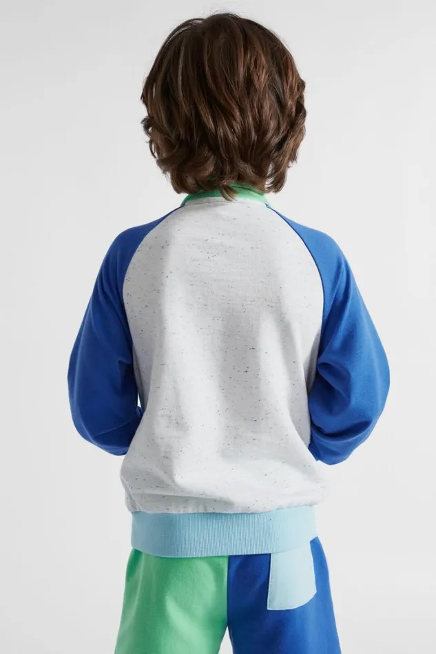 TShirts and Tops Boy Seed Heritage Colourblock Zip Sweat Multi