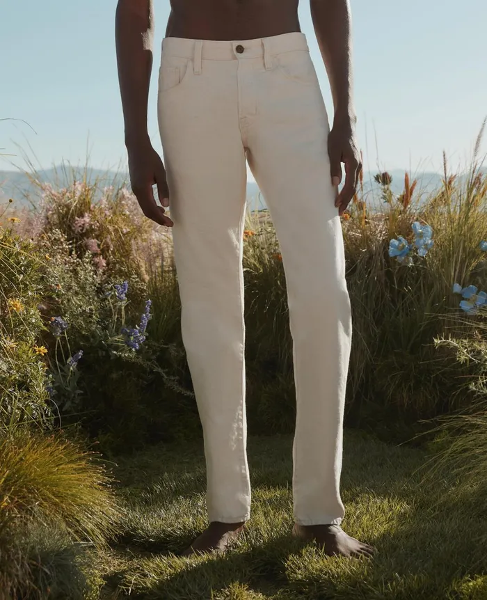 Tellis Botanical Wheat Men AG Jeans Denim