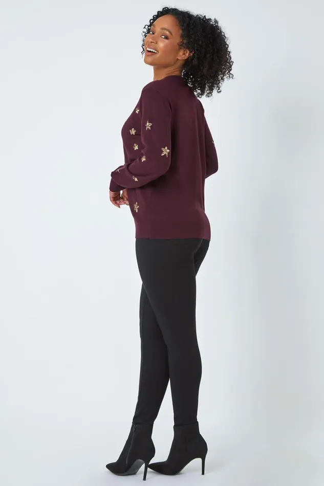 Wine Petite Sequin Star Embellished Jumper Women Roman Knitwear