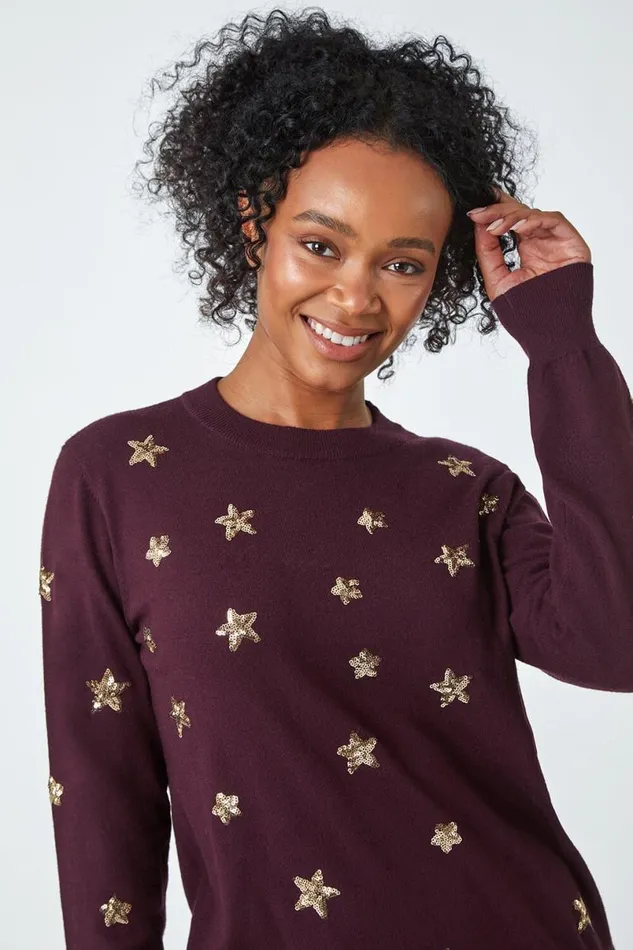 Wine Petite Sequin Star Embellished Jumper Women Roman Knitwear