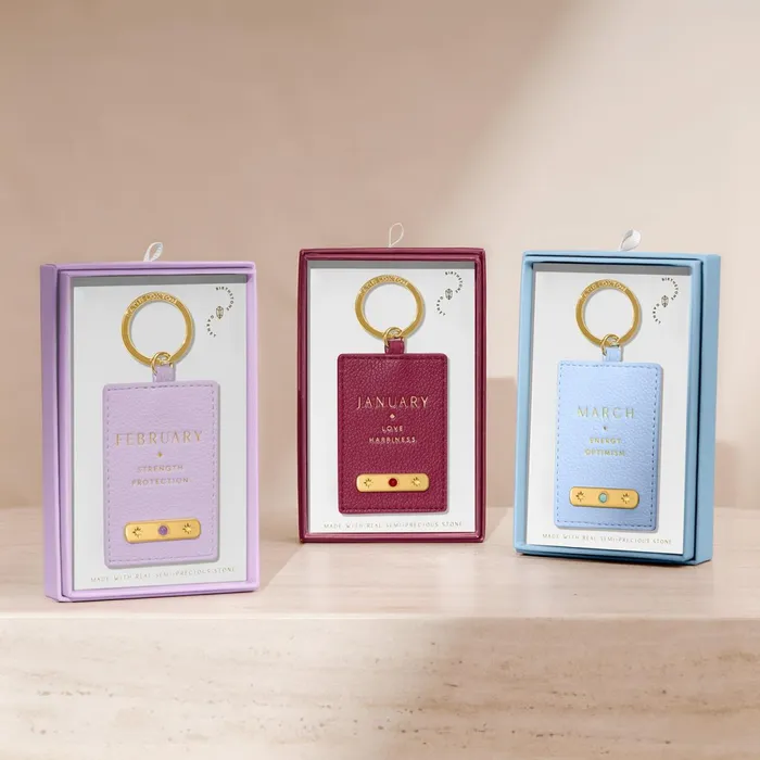 Women Birthstone Collection Katie Loxton February Birthstone Keyring In Lilac