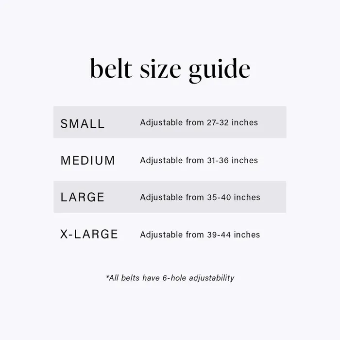 Women Brahmin Belts Medium Leather Gold Buckle Belt Grey Classic Snake