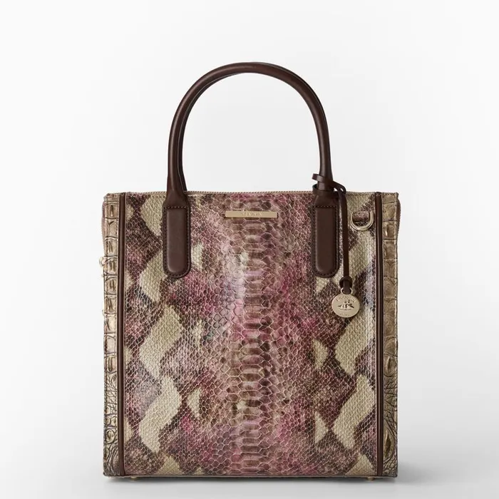 Women Brahmin Satchels Caroline Brindle Potomac