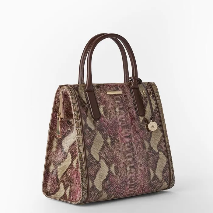 Women Brahmin Satchels Caroline Brindle Potomac