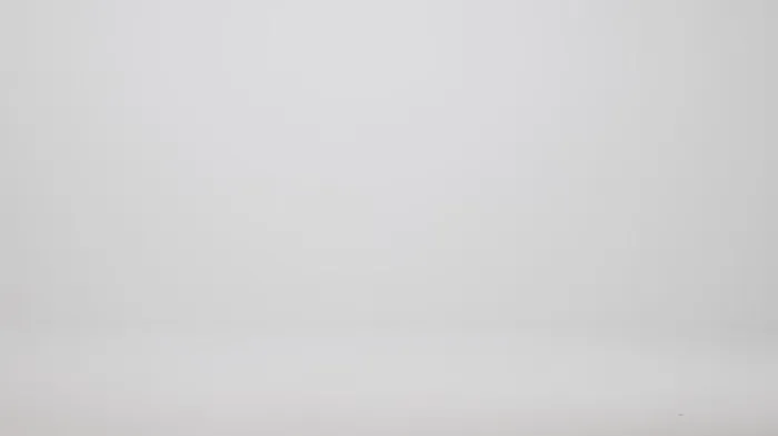 Women Brahmin Satchels Caroline Brindle Potomac