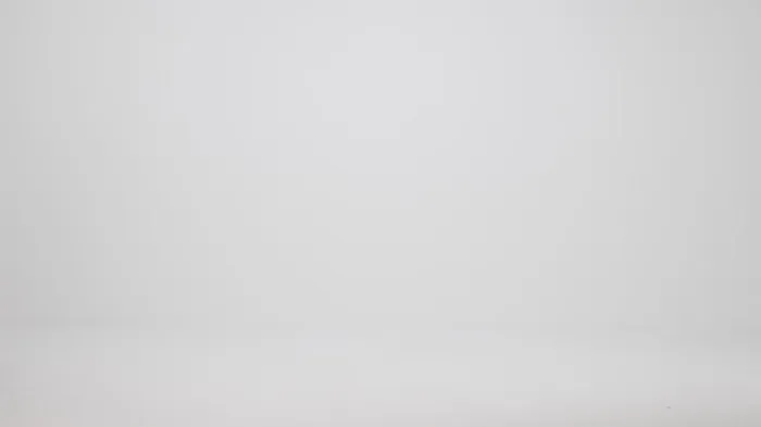 Women Brahmin Satchels Duxbury Satchel Sugar Plum Lententide