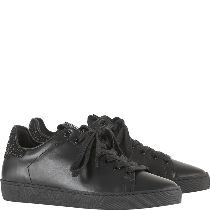 Women Glammy Sneakers Black HGL Sneakers