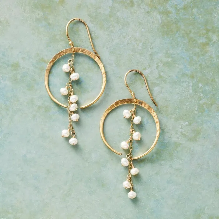 Women Rain Chain Earrings Sundance Catalog Earrings
