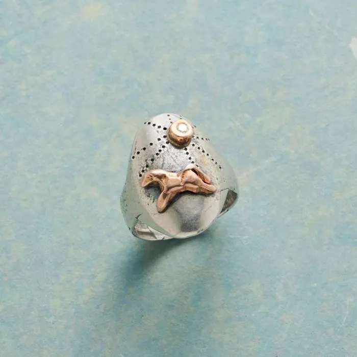 Women Wild Spirit Ring Sundance Catalog Rings